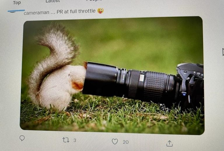 Twitter Flooded With Memes On Anushka Sharma’s Request Not To Click Photos Of Vamika