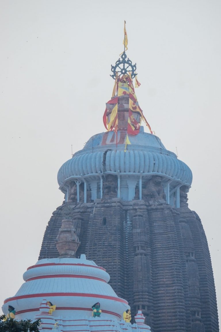 Puri Rath Yatra: Srimandir Team In Nayagarh To Identify Timber For Chariots