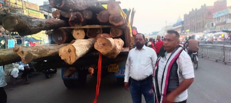 timber for rath yatra