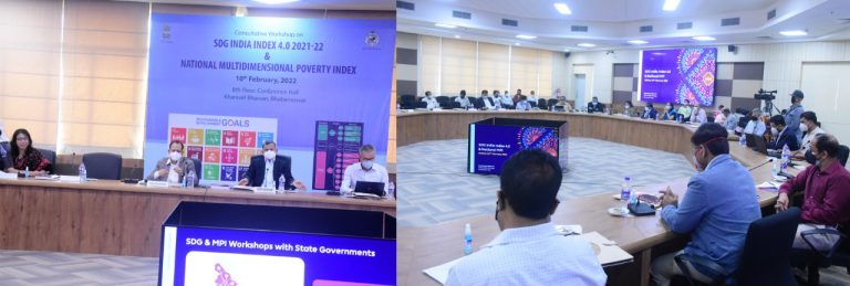 sdg india workshop