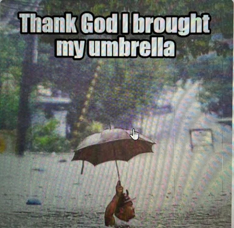 Monsoon Blues! Umbrella Memes Flood Social Media Post Budget