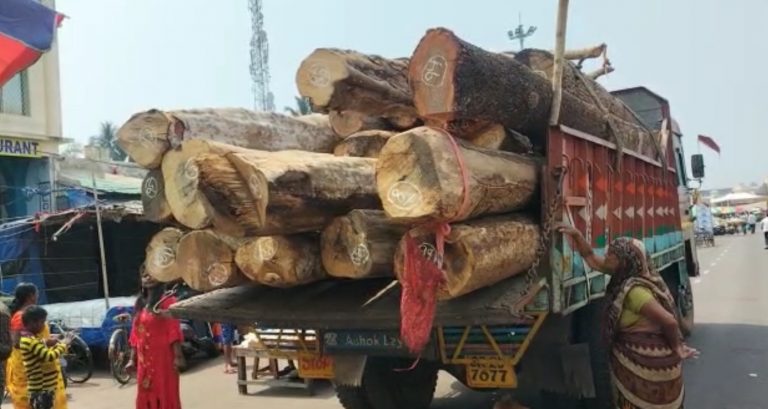 timber for rath yatra