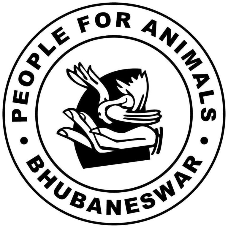 State Animal Welfare Board Blacklists Secretary Of People for Animals, Bhubaneswar; Know Why