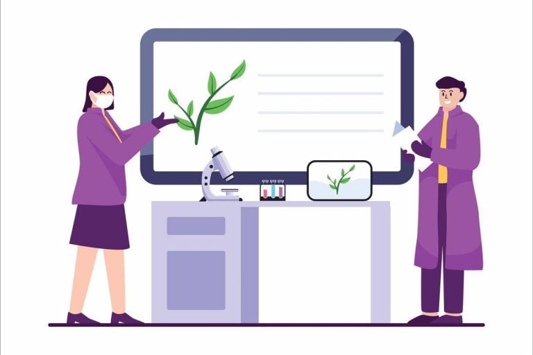 plant based covid vaccine