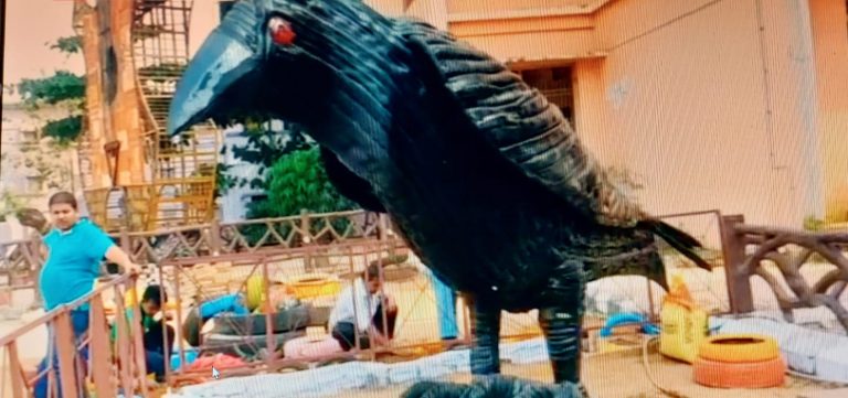 Odisha: Berhampur ITI Students Sculpt Wonders Out Of Old Tyres