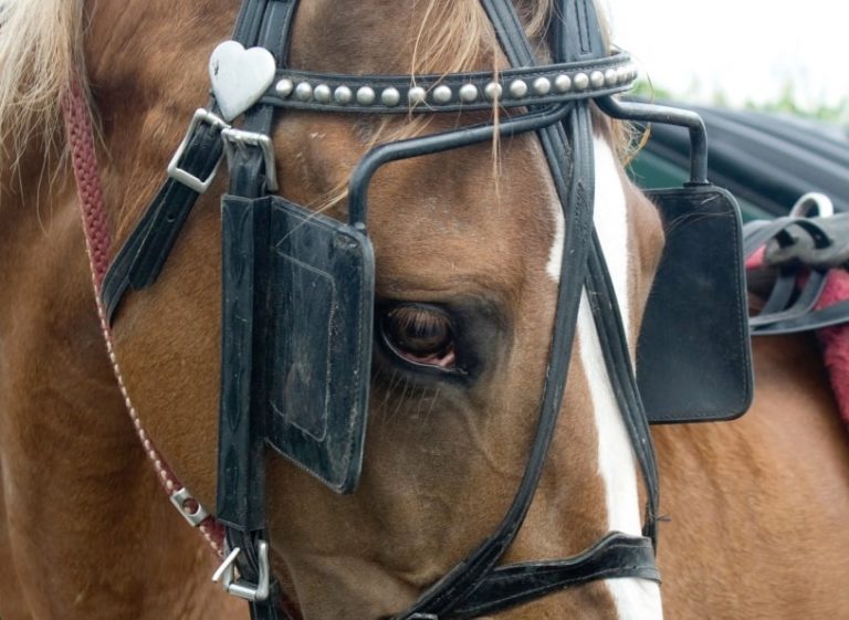 Those That Do Not Meet The Eye