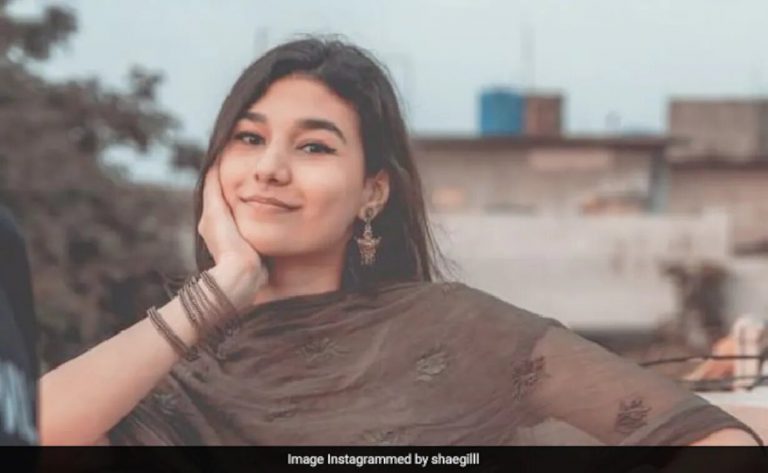 Pakistani Singer Shae Gill Reacts To Trolling On Sidhu Moose Wala Post