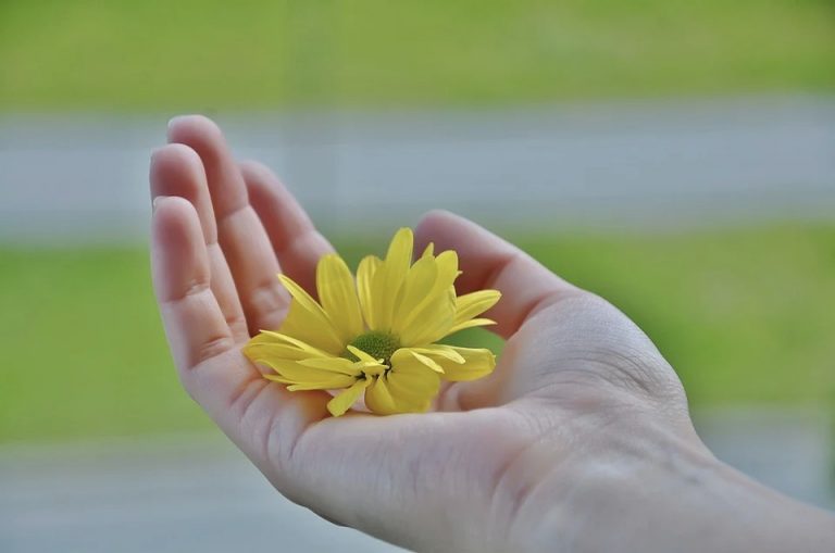 Sunday Poem: Spring Greets You!