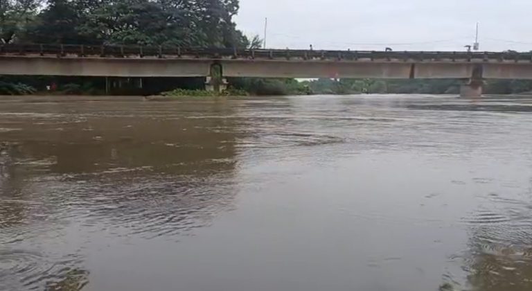 salandi flood bhadrak