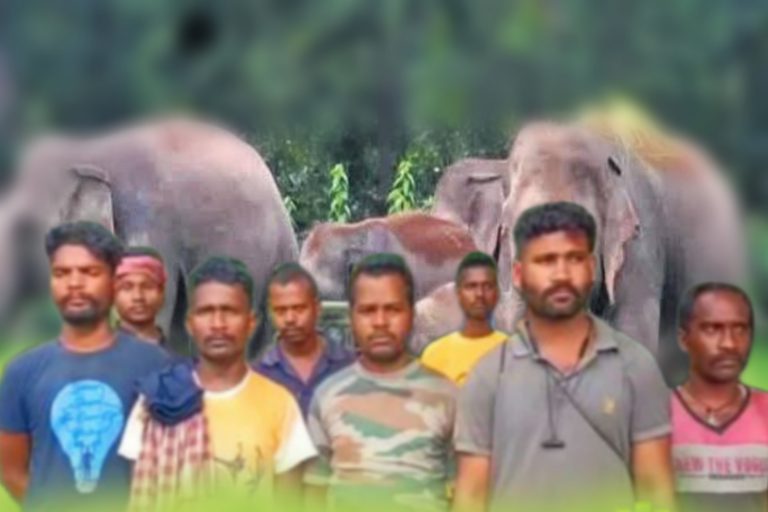 locals detain forest officials