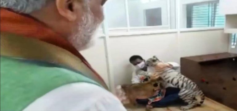 Union Minister Picks Names For Hand-Reared Lion & Tiger Cubs In Odisha’s Nandankanan Zoo