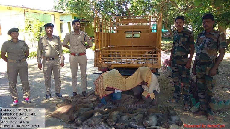 Two From Andhra Held In Odisha For Transporting Monkeys Stuffed In Gunny Bags