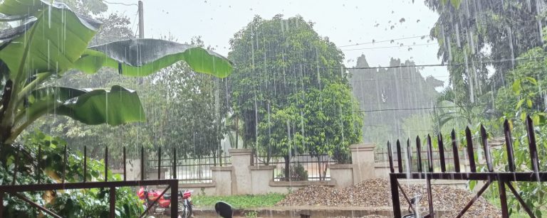 rain in bhubaneswar