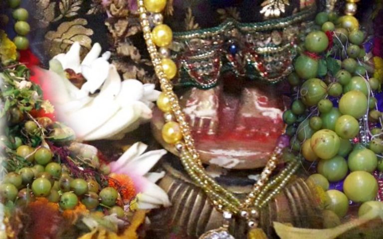 Amla Navami 2022: ‘Radha Pada Darshan’ At Odisha’s Sakhigopal Today; Know Its Significance