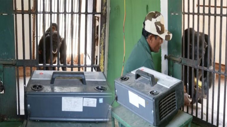 Special Arrangements For Inmates Of Nandankanan Zoo In Bhubaneswar During Winter