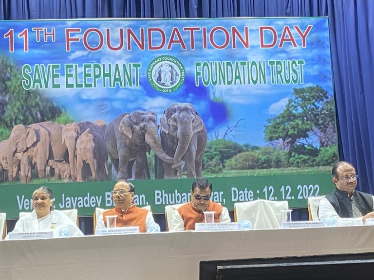 PPCP Model Ideal For Resolving Human-Elephant Conflict: Odisha Forest Minister