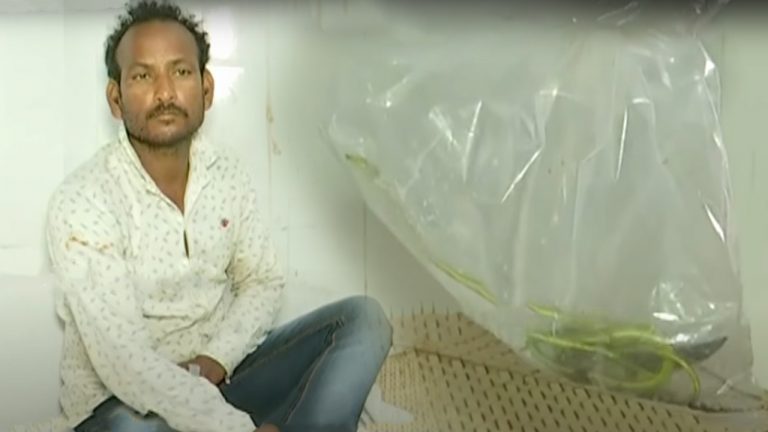 Man Rushes To Hospital With Snake After Being Bitten By It In Odisha’s Balasore
