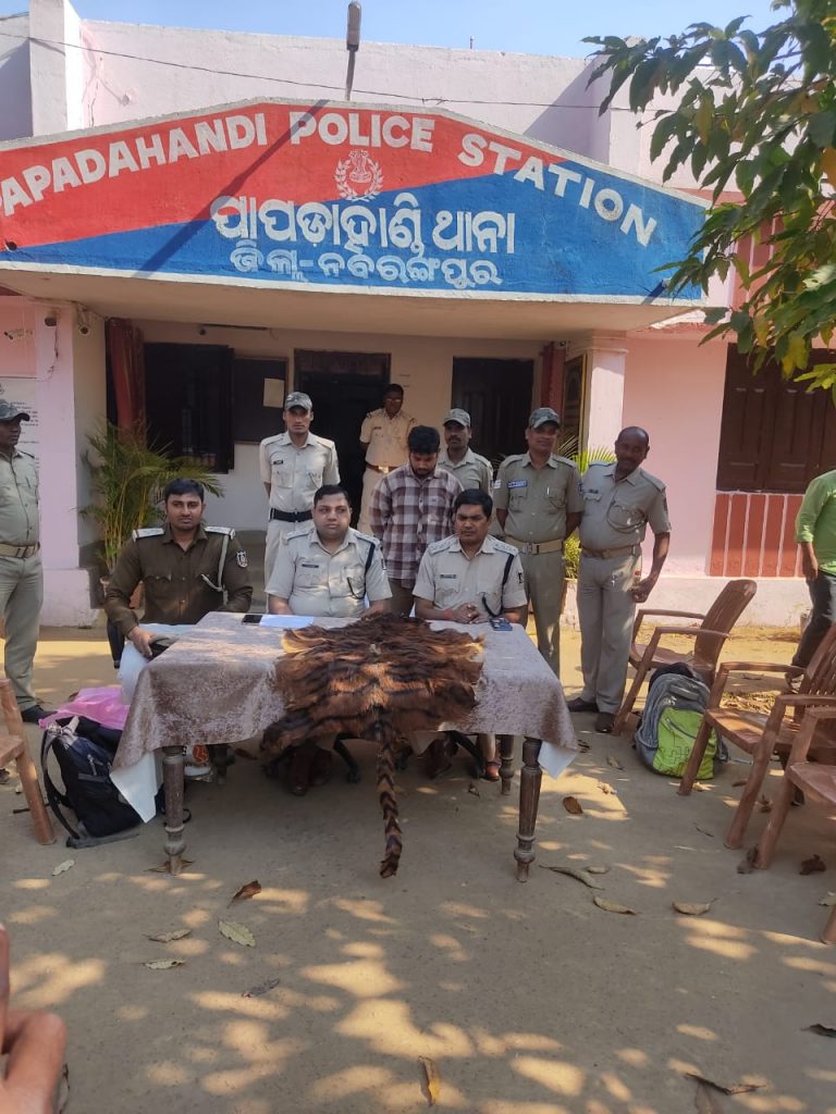 Tiger Skin Seized, Wildlife Smuggler Arrested In Odisha’s Nabarangpur