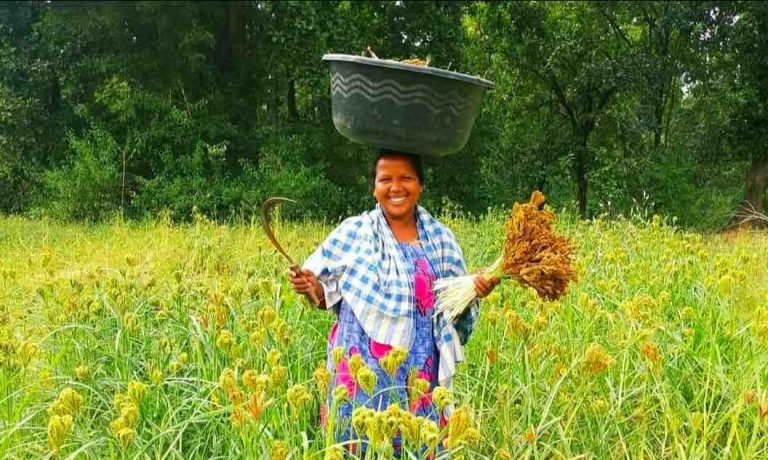 Mann Ki Baat: PM Modi Lauds Milletpreneurs Of Odisha