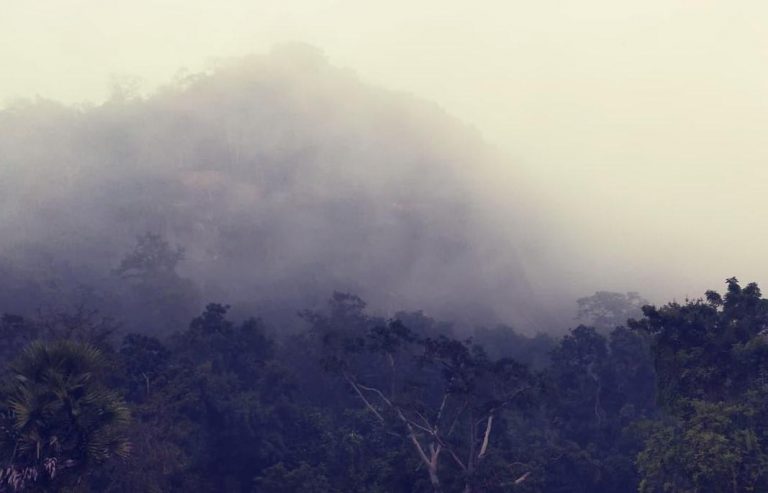 G Udayagiri Coldest In Odisha Again At 3.5°C; Fog Forecast From Tomorrow