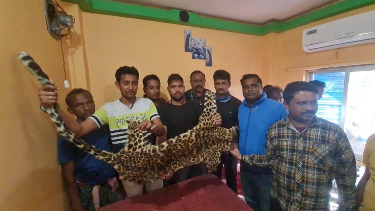 8 Wildlife Smugglers Held With Leopard Skin In Odisha’s Mayurbhanj