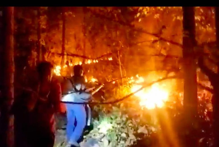 Fire Engulfs Acres Of Woodland In Odisha’s Kalapat Reserve Forest