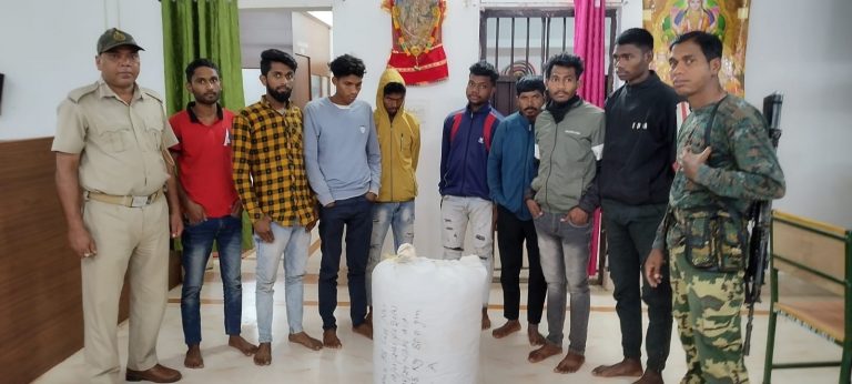 5 College Students Among 8 Held For Ganja Trafficking In Odisha’s Koraput