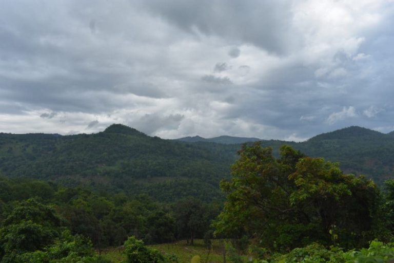 Odisha’s Efforts To Increase Forest Cover Lauded In Lok Sabha