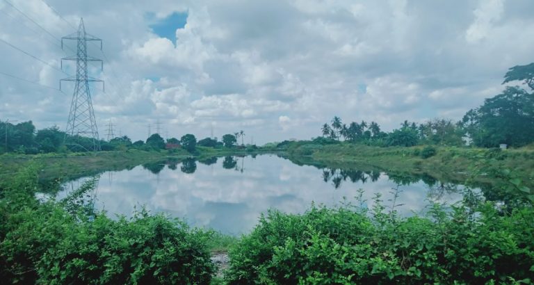 Kolkata wetlands dry up
