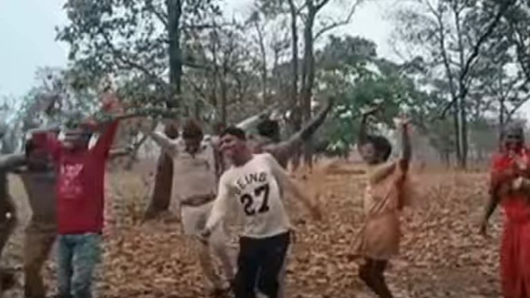 Forest Guards’ Happy Dance As Spells Of Rain Douse Fires In Odisha Forests