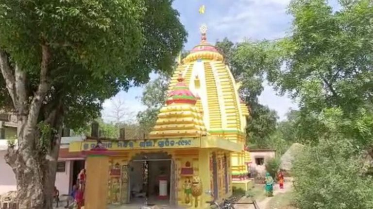 8 Devotees Critical In Bee Attack During Akshaya Tritiya Ritual In Odisha Temple