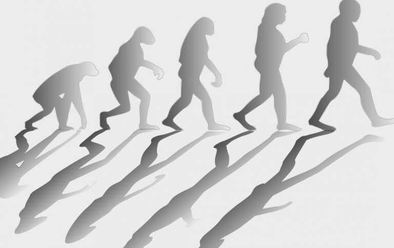 Union Minister Subhas Sarkar Rebuffs Reports On Darwin Axe Decision In Bhubaneswar