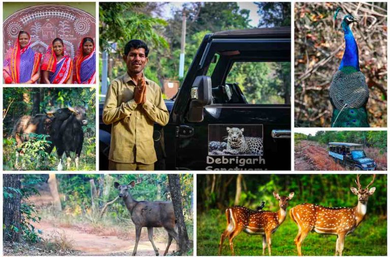Odisha: Debrigarh Ecotourism Scripts Success With Rs 2.5 Cr Revenue & 27K Visitors From India & Abroad