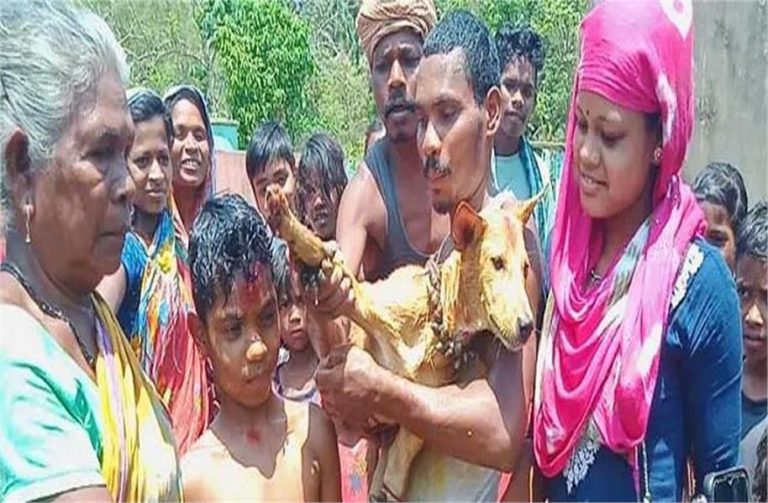 Odisha: Human-Dog Marriage Continues In Tribal Ho Village In Balasore