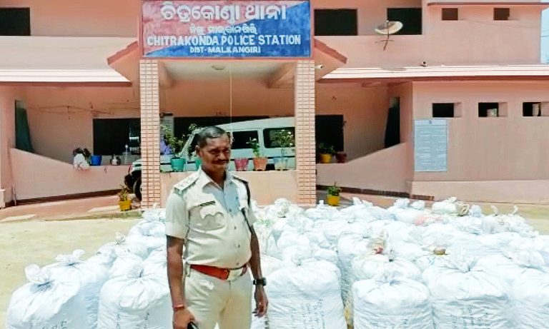 Ganja Worth Rs 2.5 Crore Seized In Odisha’s Malkangiri
