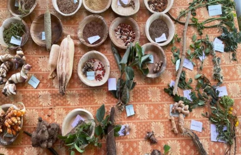 Nilgiri tribal foods