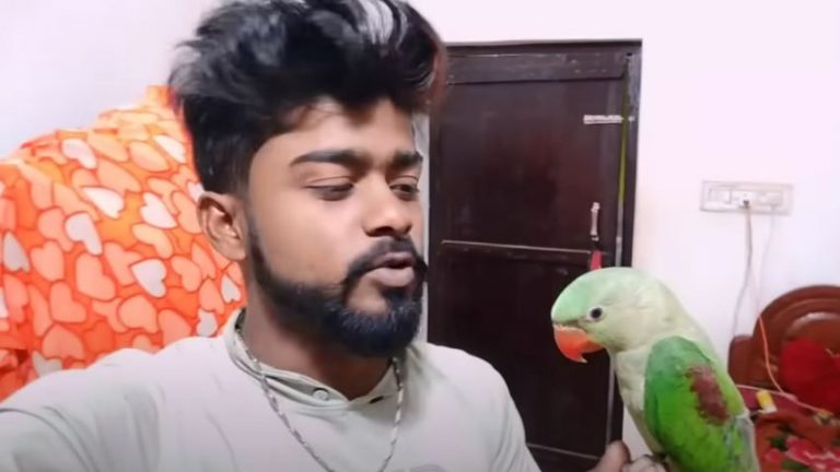 Complaint Against Odisha Man For Hunting, Uploading Videos Of Alexandrine Parakeets