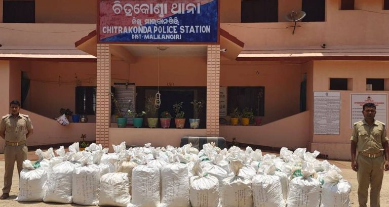 Ganja Worth Rs 2.15 Crore Seized In Odisha’s Malkangiri; Smugglers Escape