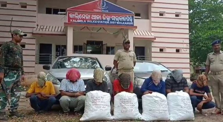 Cop From Telangana Among 7 Arrested In Odisha For Ganja Smuggling