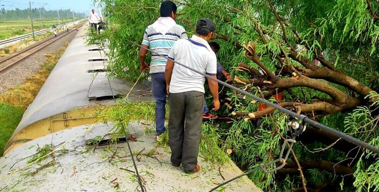 Passenger Train Stranded As Tree Falls On It Near Odisha’s Rayagada