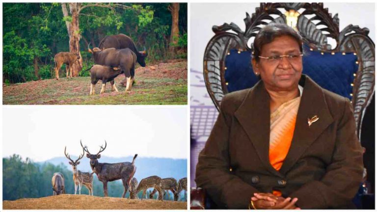 Odisha’s Simlipal To Remain Closed For 2 Days, Jungle Safari For Prez Droupadi Murmu On May 5