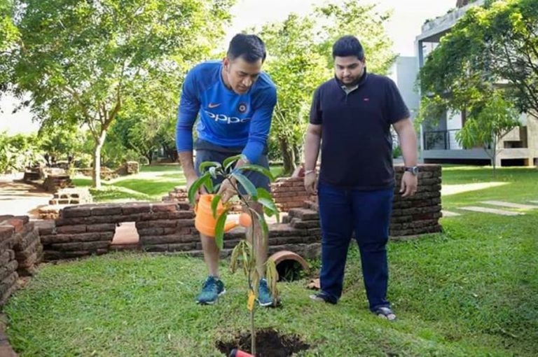 cricketers planting trees