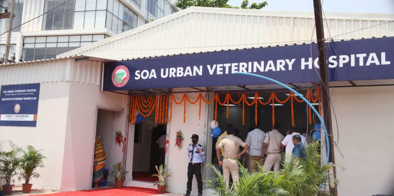 soa veterinary hospital