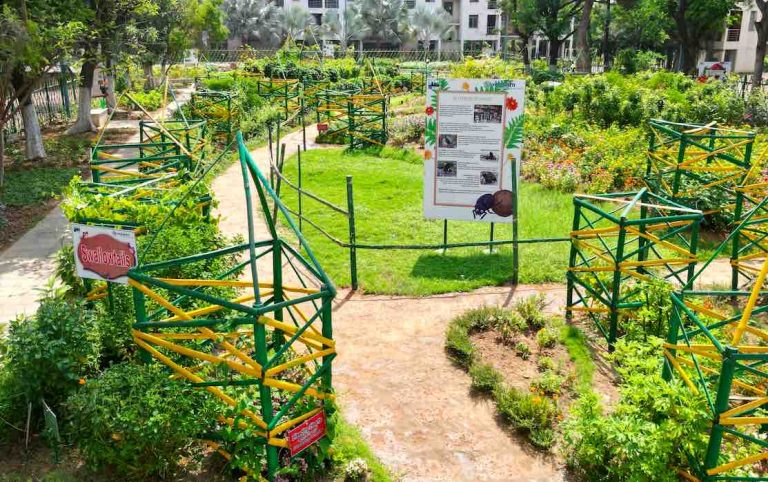 Butterfly Park To Protect 30+ Rare Species Come Up On Vedanta’s Jharsuguda Premises In Odisha