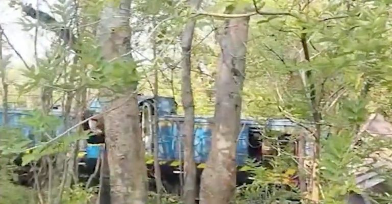 Goods Train Derails In Odisha’s Bargarh, None Injured