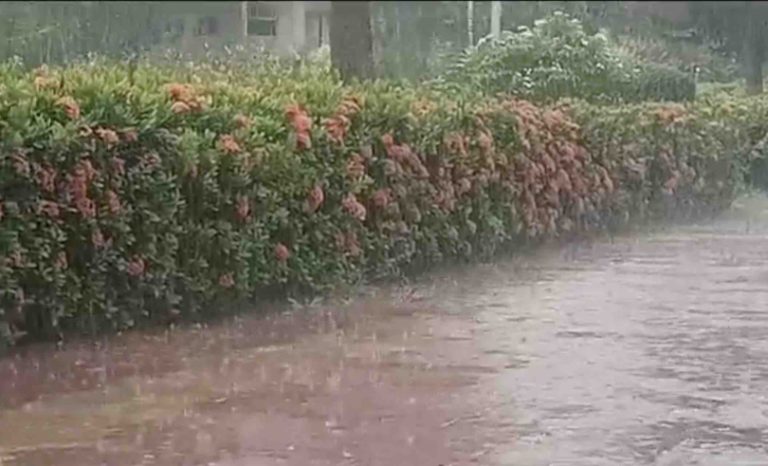 Rain, Thunderstorm Likely In Bhubaneswar, Cuttack & 18 Odisha Dists This Afternoon