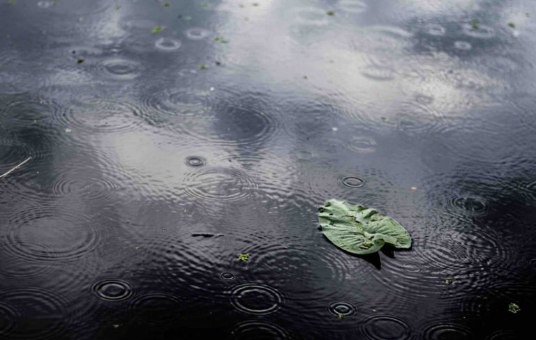 Ode To Monsoon: When Humanity Erupts In Joy