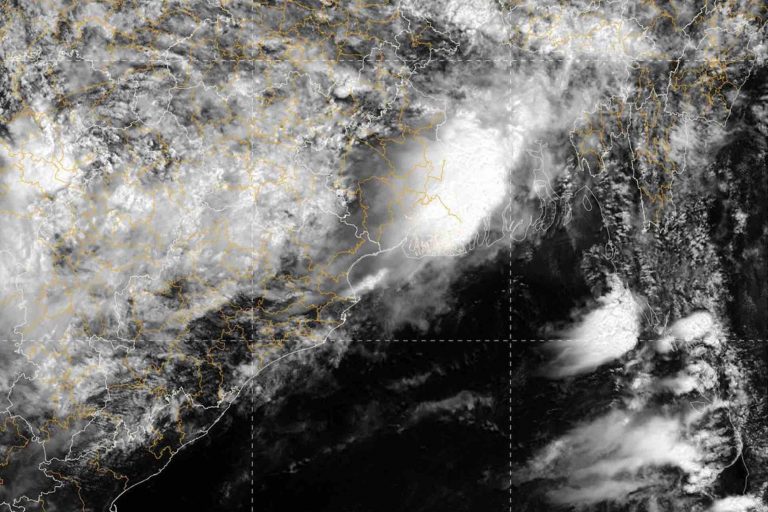 Southwest Monsoon Active In Odisha; Check Rain Forecast