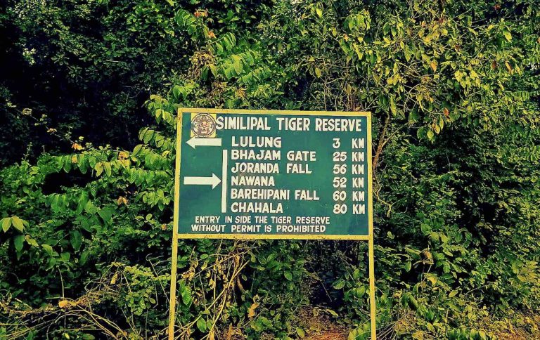 Centre Asks Odisha To Step Up Intelligence Network, Patrolling To Contain Poachers In STR