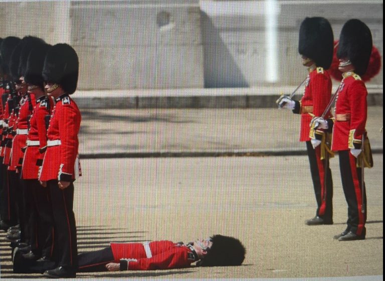 London Heat Gets To British Soldiers; Three Faint In Front Of Prince William